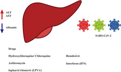 Drug-Induced Liver Disturbance During the Treatment of COVID-19